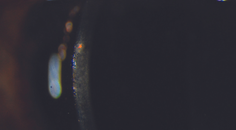 All That Glitters Isnt Gold