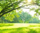 Adopting Eco Friendly Initiatives