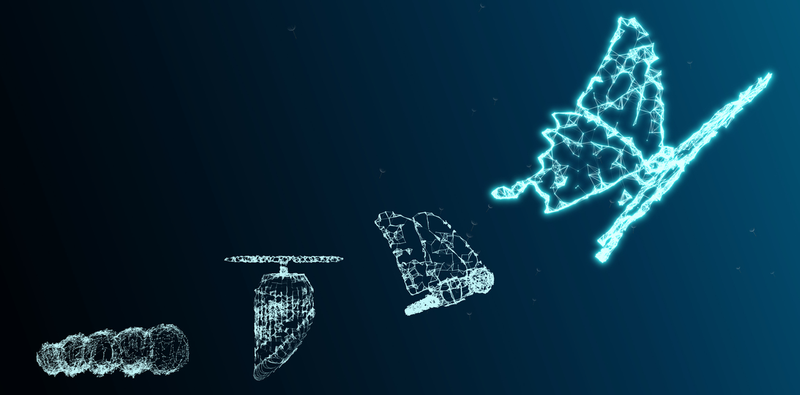 Evolution and Innovation