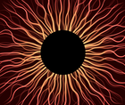 Optimizing Ocular Surface Health to Improve Cataract Surgery Outcomes