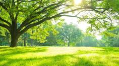 Adopting Eco Friendly Initiatives
