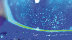 Freeze Dried Amniotic Membrane for Filamentary Keratitis