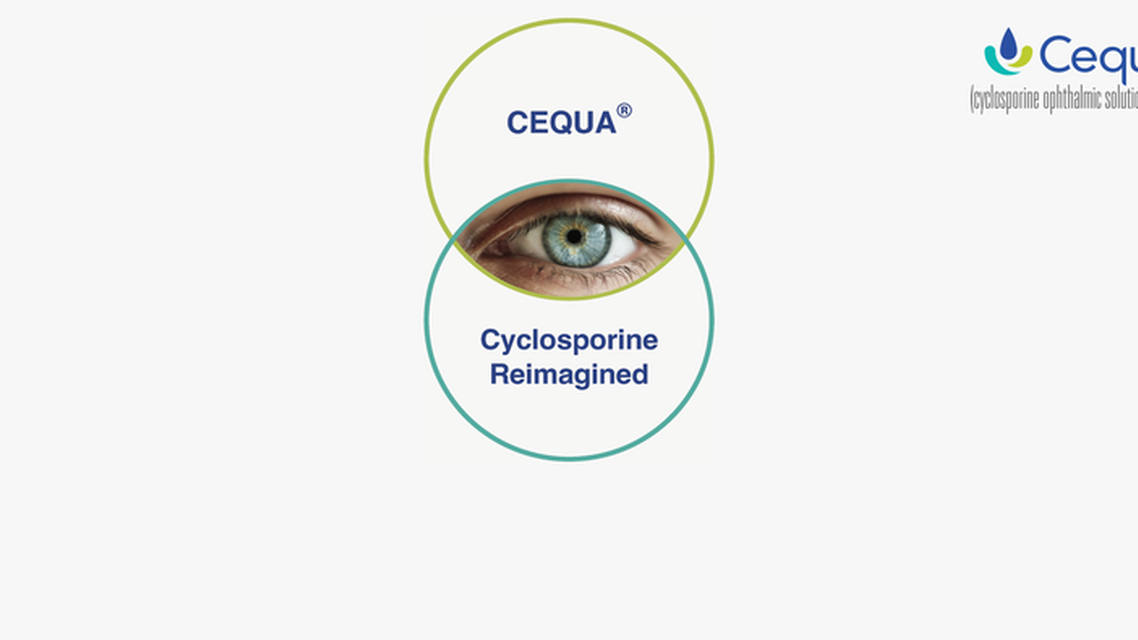 Exploring the formulation of CEQUA