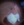 Figure 1. Dropped nucleus.