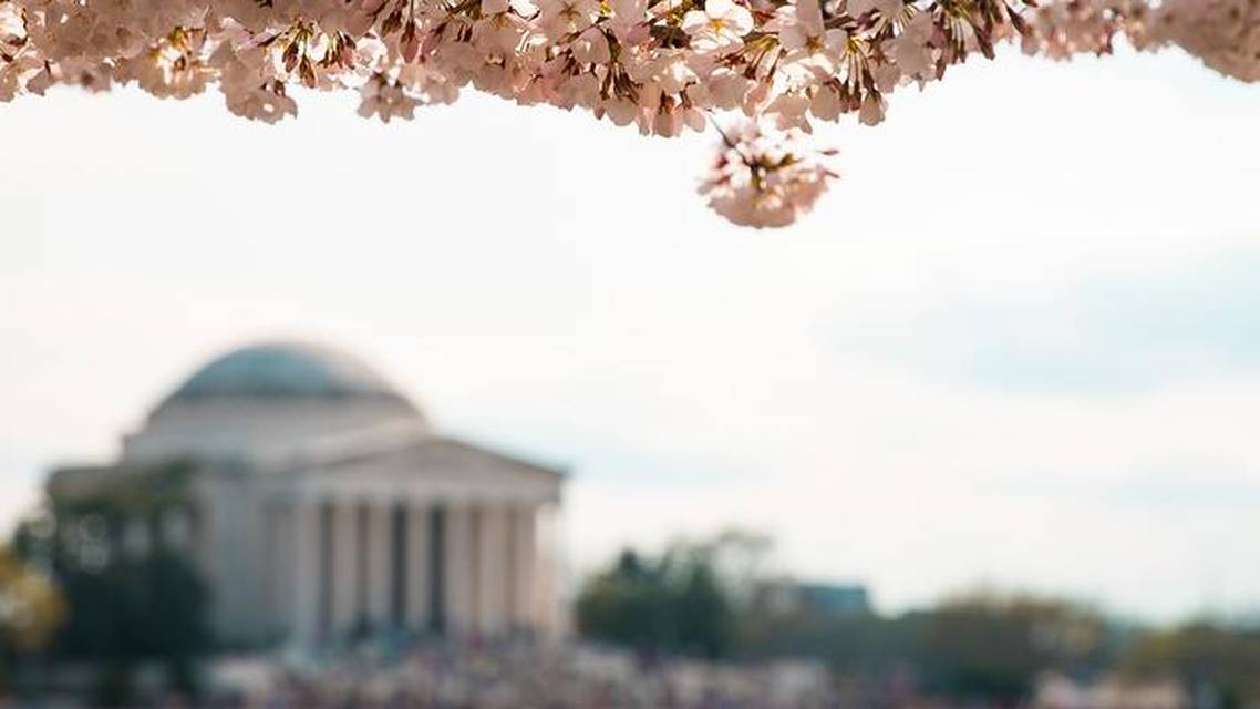 Eye Doctors of Washington Academic Roots Progressive Playbook
