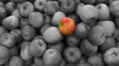 The Ideal Multifocal Candidate