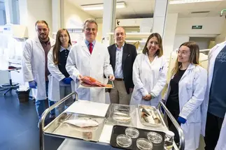 Spanish Scientists Develop Artificial Cornea from Fish Scales image