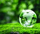 Sustainability Made Easy