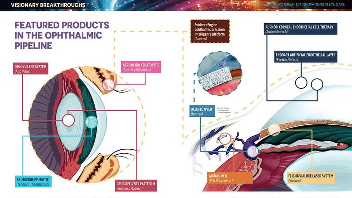 Visionary Breakthroughs