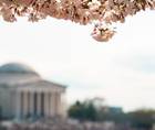 Eye Doctors of Washington Academic Roots Progressive Playbook
