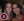 Figure 21. Dr. Shamie with Silal Bal, MD.
