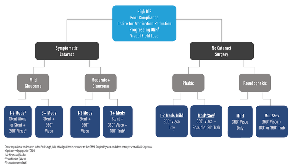 MIGS Algorithm Navigating A Myriad of Decisions