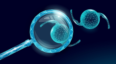 Design and Visual Outcomes of Enhanced Monofocal IOLs