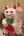 Figure 2. The cat piñata that Dr. LaHood made out of wire and papier-mâché for a friend’s travel-themed wedding.
