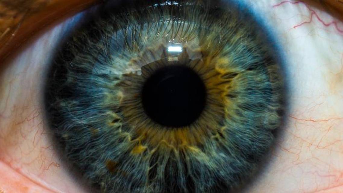 Corneal Biomechanics and the Evaluation of Corneal Ectasia