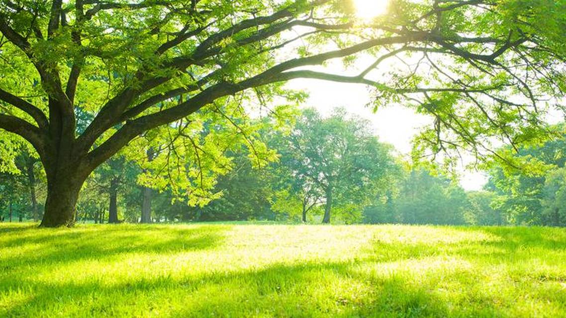 Adopting Eco Friendly Initiatives