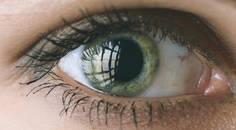 Acupuncture for Dry Eye Disease
