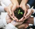 Why You Need a New Patient Care Model