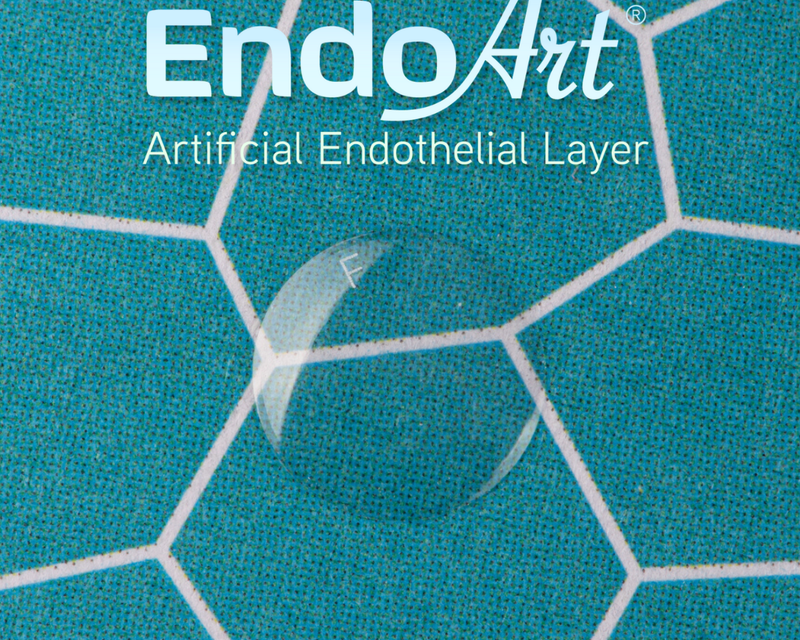 EndoArt Artificial Endothelial Implant