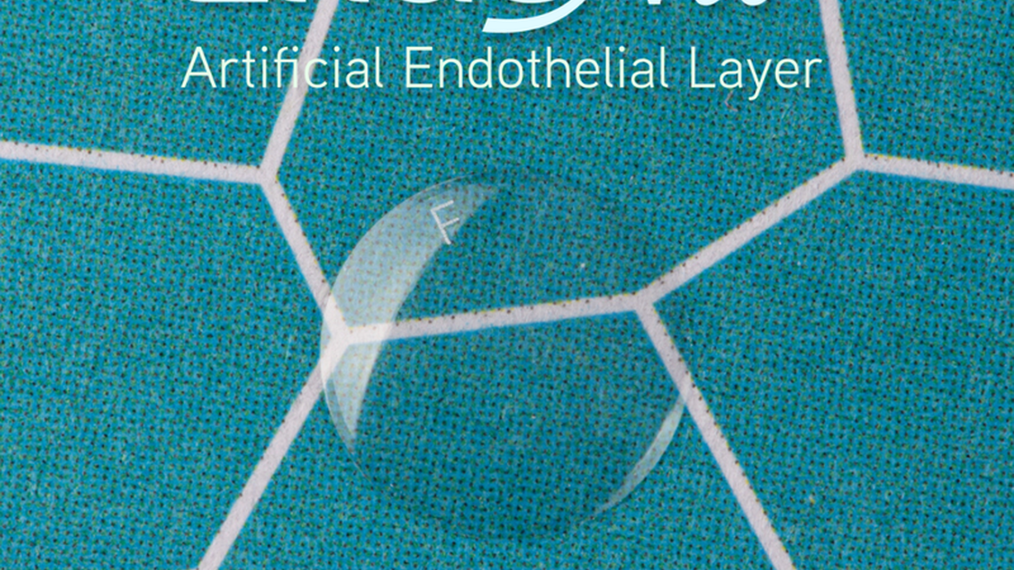 EndoArt Artificial Endothelial Implant