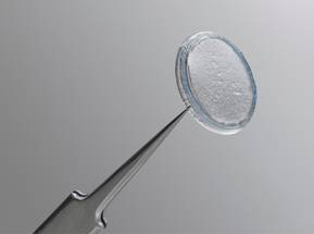 BioTissue Presents New Data for Cryopreserved Amniotic Membrane Therapy image