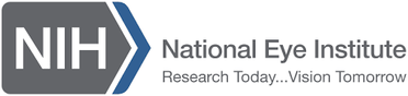 National Eye Institute Seeks Public Input for 2026–2031 Strategic Plan image