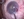 catcomps_fg4