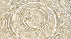 July 2026 cataract surgery case files hero showing shallow water over sand