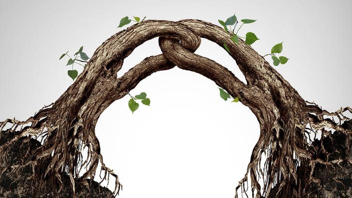 Bridging Gaps Strengthening Foundations