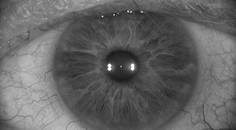 The Current Cataract Refractive Landscape