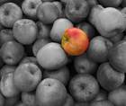 The Ideal Multifocal Candidate