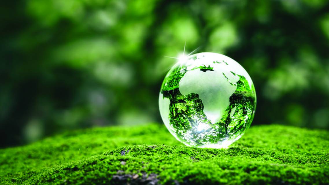 Sustainability Made Easy