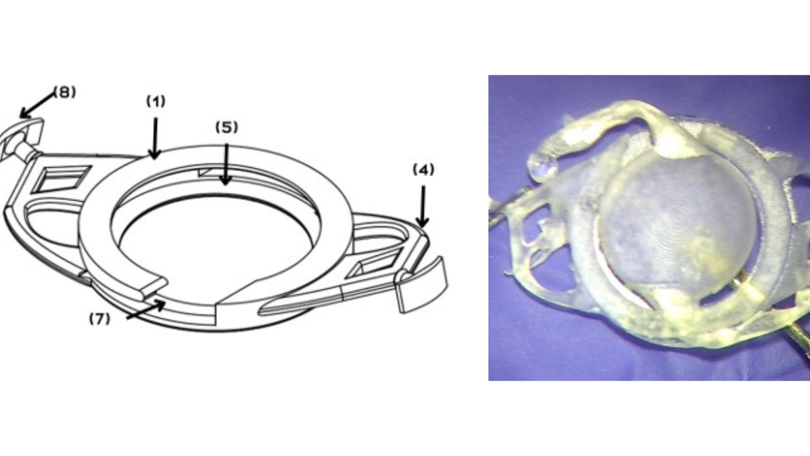 The Oseguera Ring