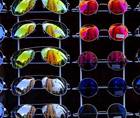 The Futures So Bright I Gotta Wear Shades