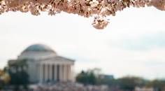 Eye Doctors of Washington Academic Roots Progressive Playbook
