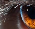 Dehydrated Amniotic Membrane for Ocular Surface Disease