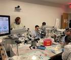The 3rd Annual Duke Cornea Fellows Course and Wet Lab