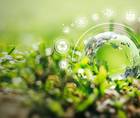Five Key Strategies for a Greener Practice