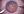 catcomps_fg1