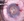 catcomps_fg5