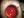 catcomps_fg2