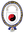 Figure. The family crest of Nobel Prize–winning physicist Niels Bohr.