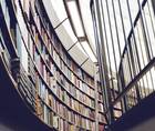 The Literature