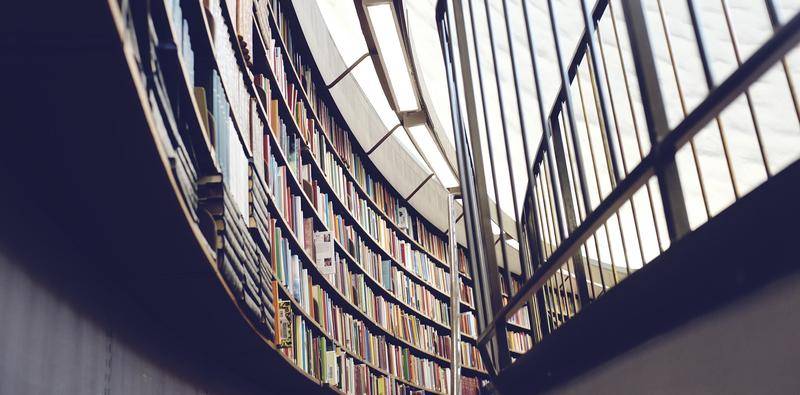 The Literature