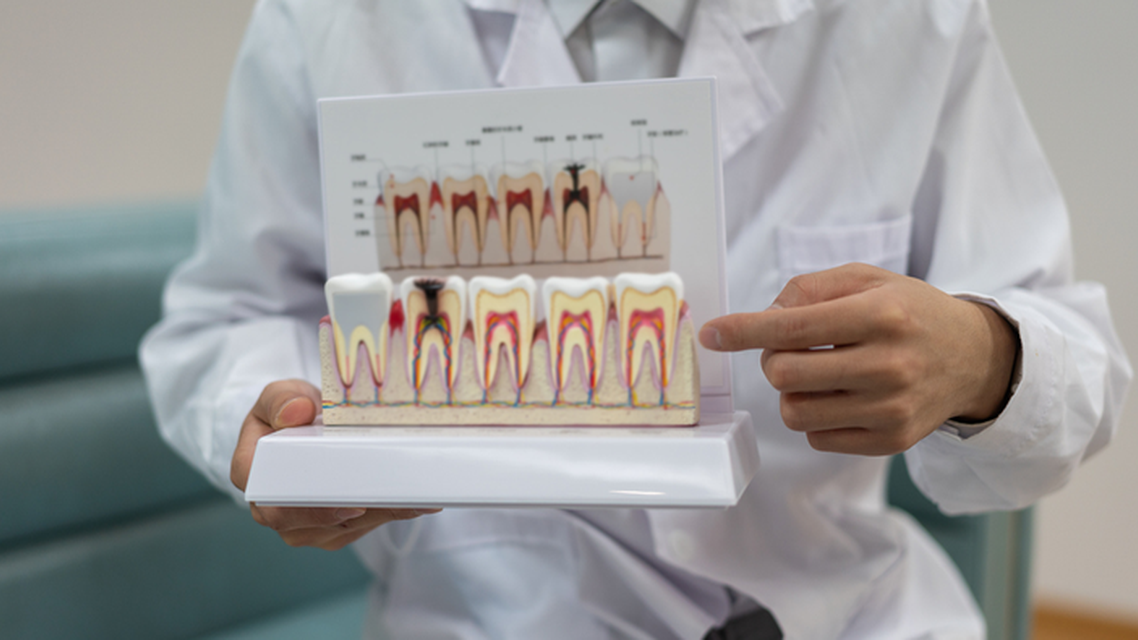 Embracing a Dental Care Model for Superior Eye Health