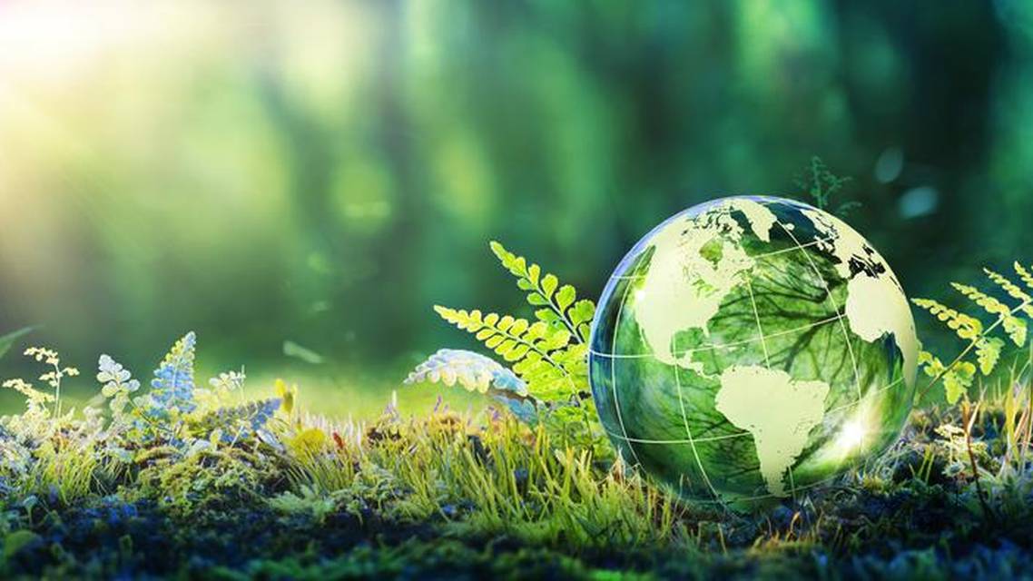 Environmentally Sustainable Practices in the Eye Health Sector