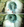 Figure 7. The iris prosthesis was placed in an inserter and partially delivered into the capsular bag (top). Dr. Ayres used microforceps to fully unfold the implant and place it in the capsular bag. The capsulorhexis must be visualized to ensure that the prosthesis is in the capsular bag (bottom).