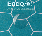 EndoArt Artificial Endothelial Implant