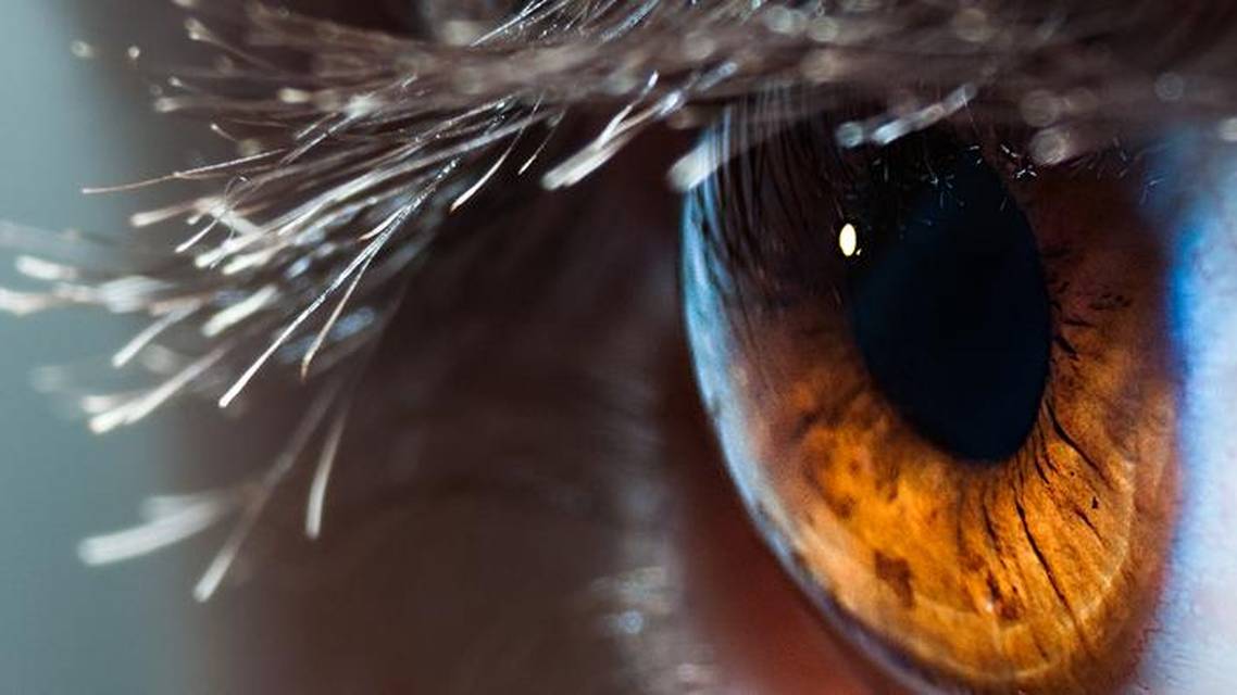 Dehydrated Amniotic Membrane for Ocular Surface Disease