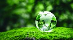 Sustainability Made Easy